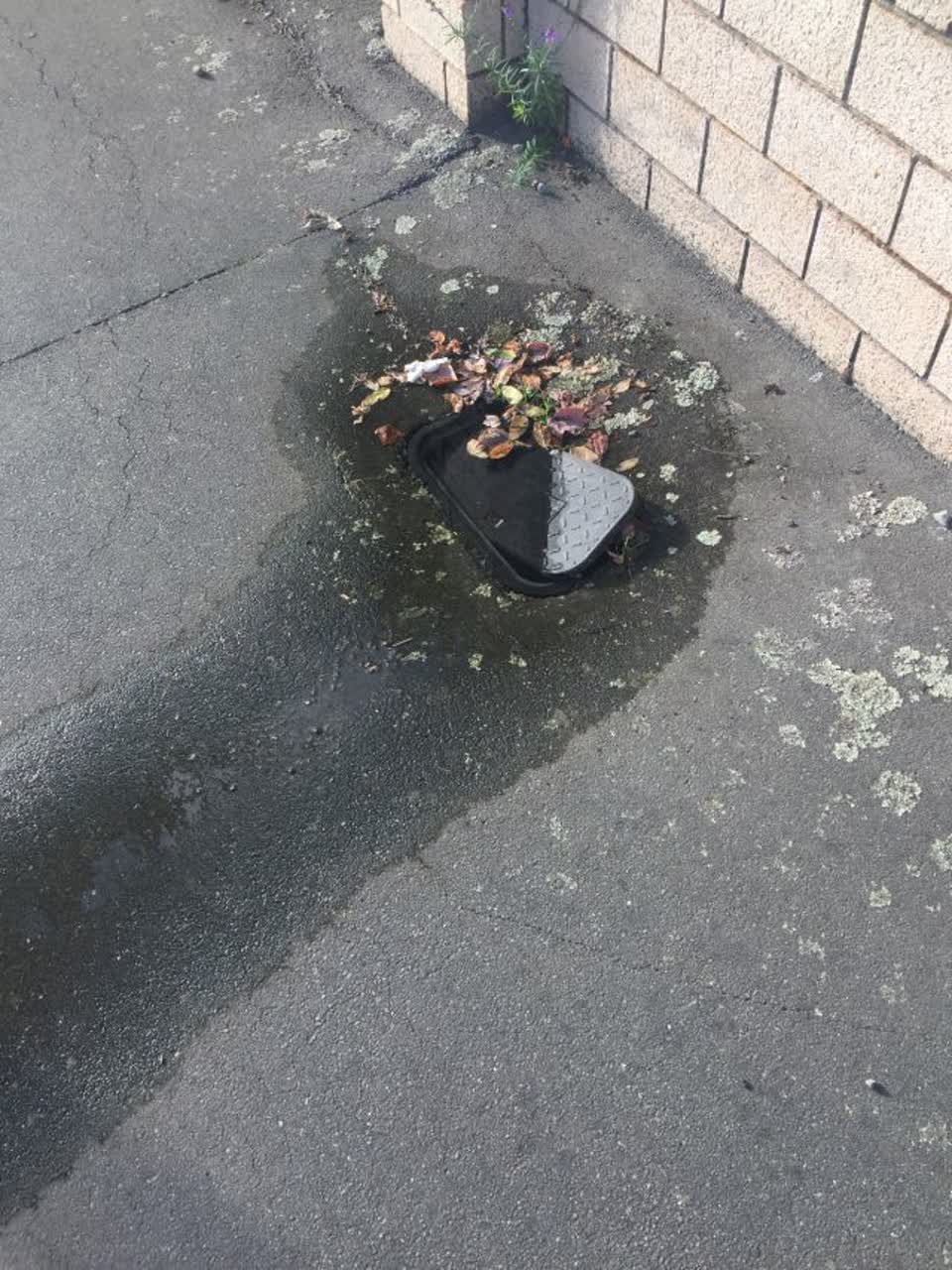 The photograph attached to this water supply report