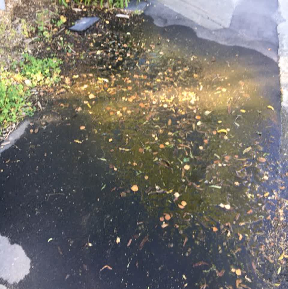 The photograph attached to this water supply report