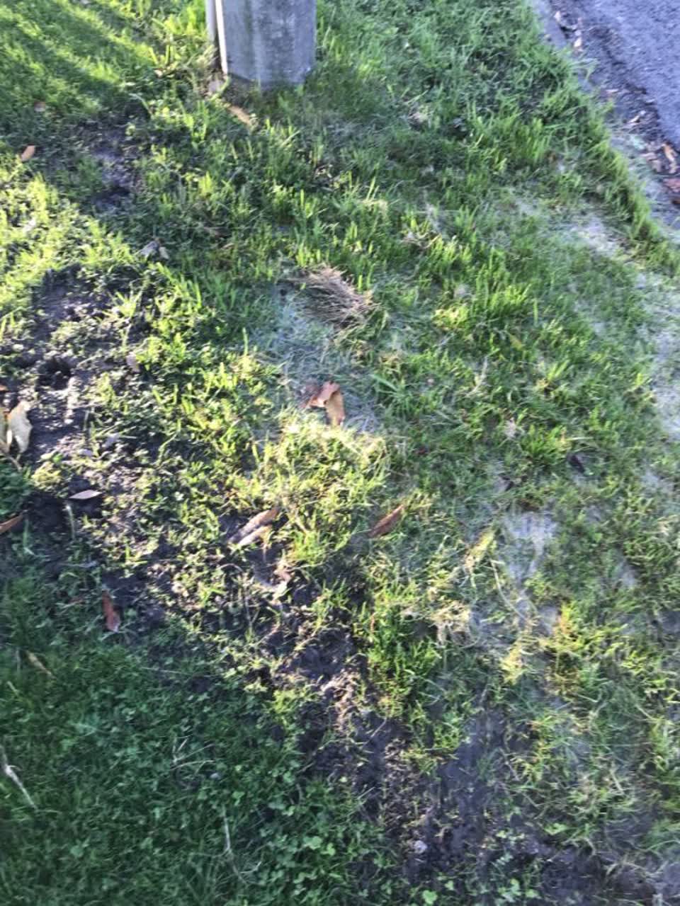 The photograph attached to this water supply report