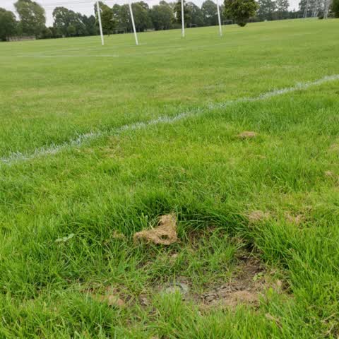 Parks, a report photo
