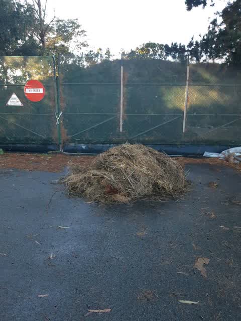 Rubbish/Recycling, a report photo