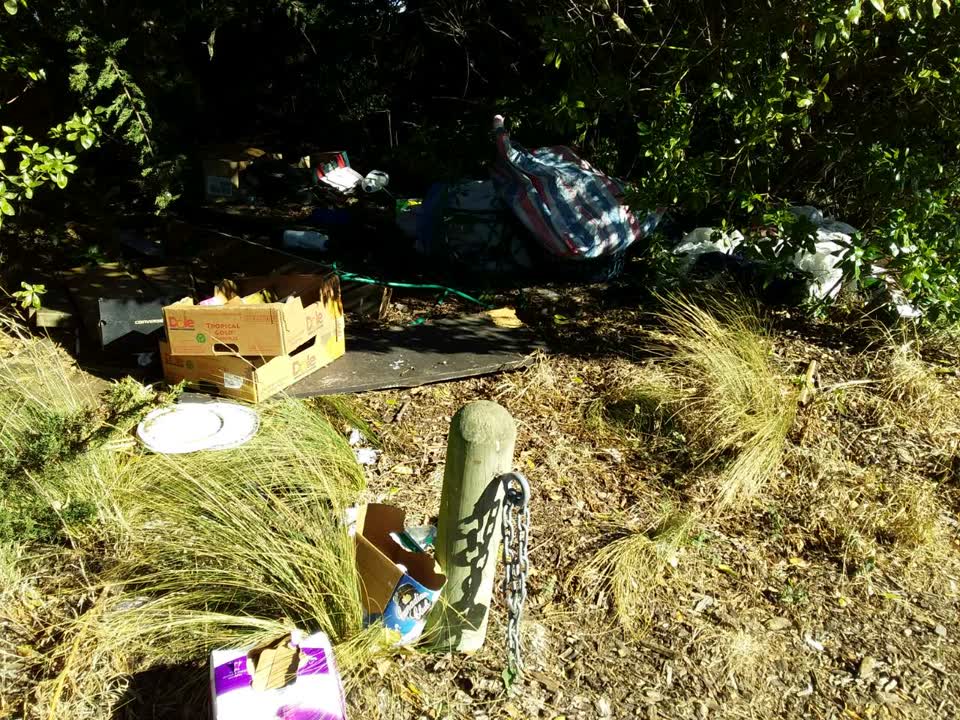 The photograph attached to this rubbish/recycling report