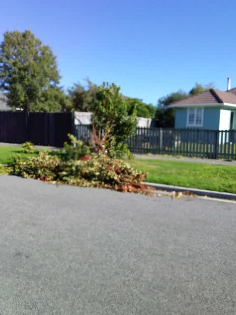 Rubbish/Recycling, a report photo