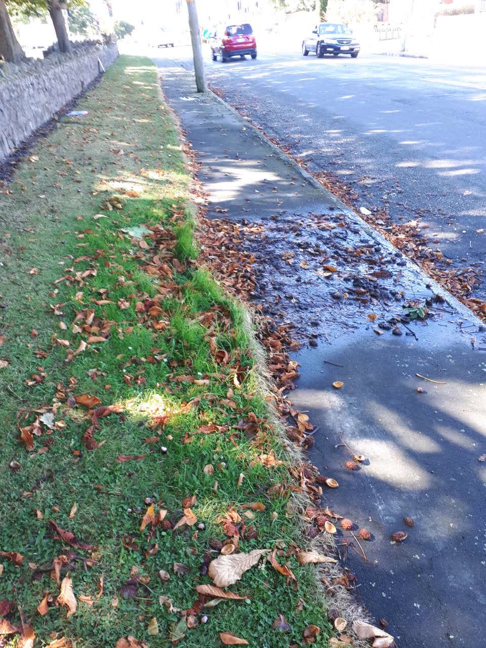 The photograph attached to this water supply report