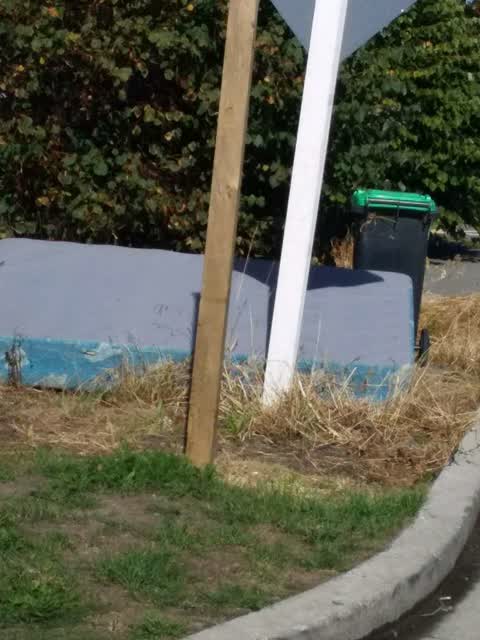 Rubbish/Recycling, a report photo