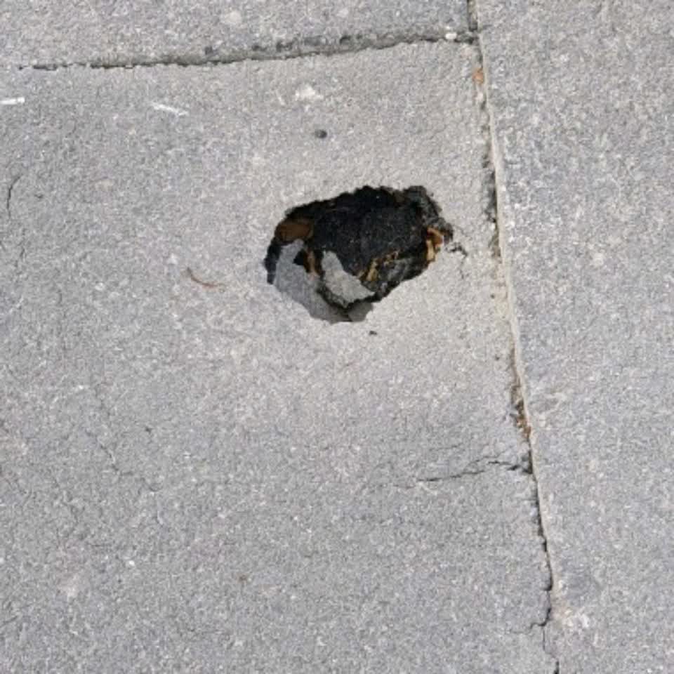 The photograph attached to this roading/streets report
