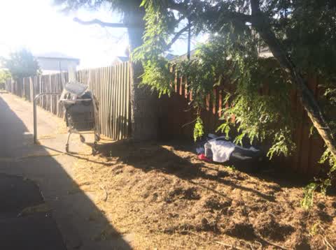 Rubbish/Recycling, a report photo