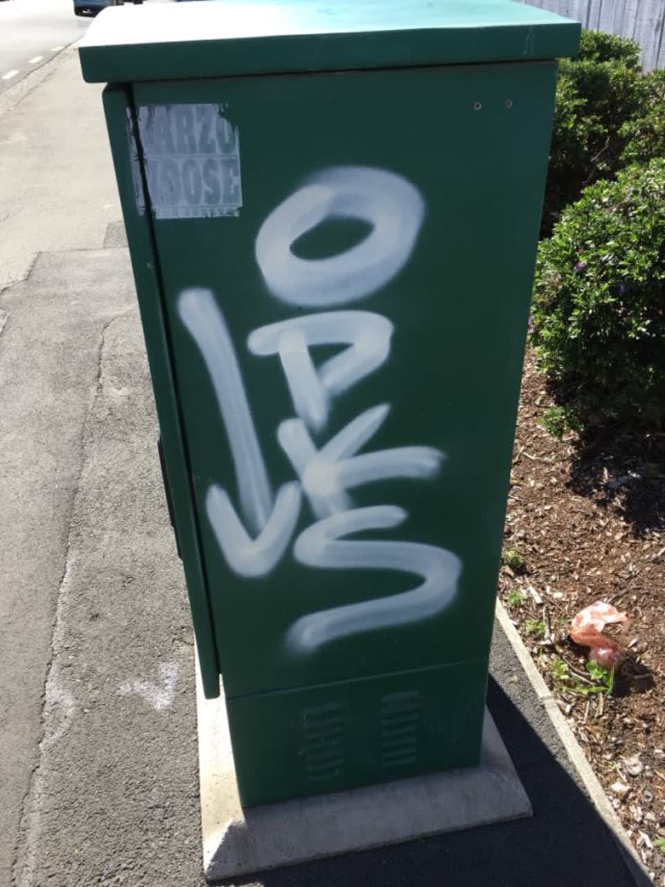 The photograph attached to this graffiti report