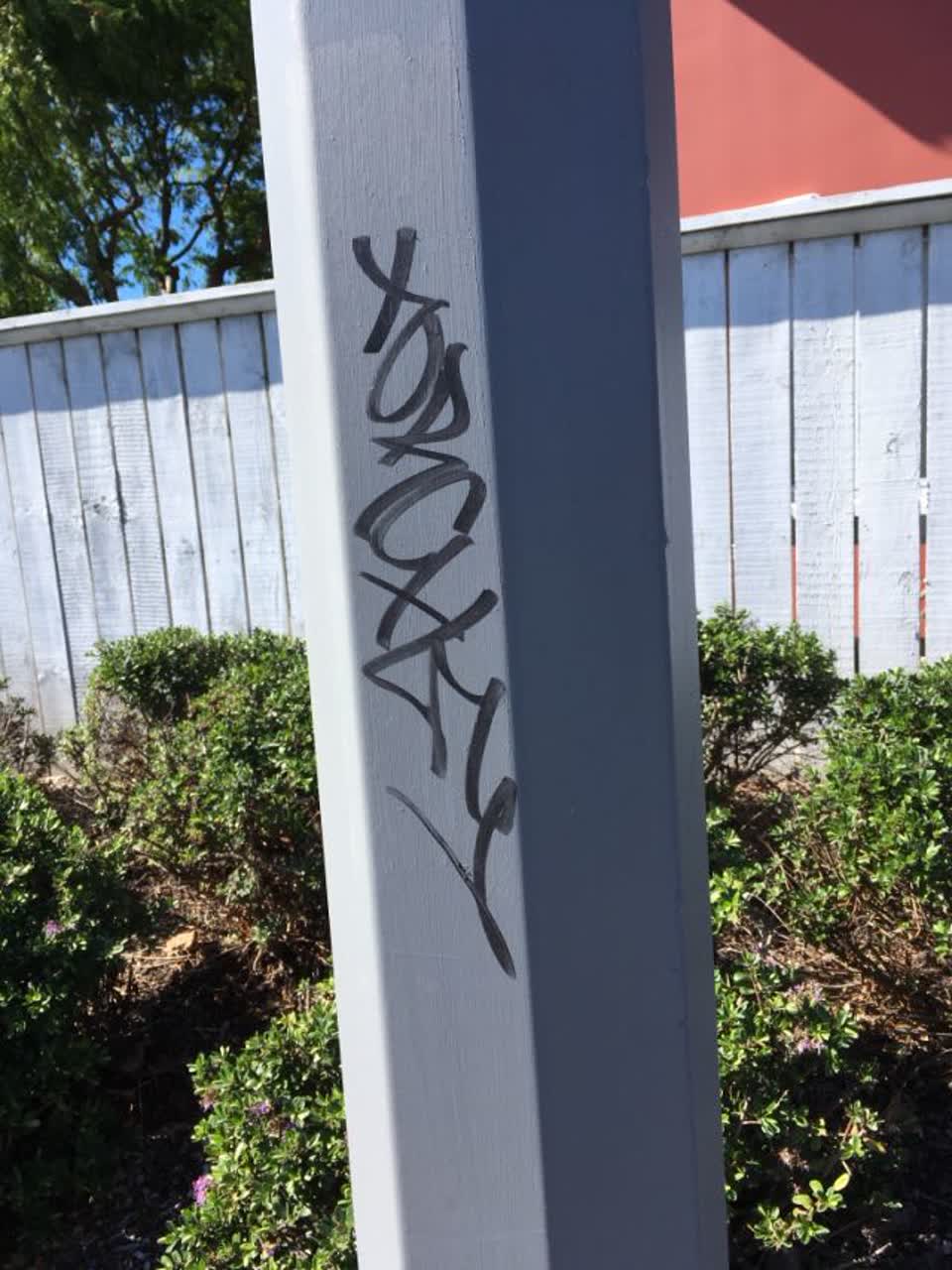 The photograph attached to this graffiti report