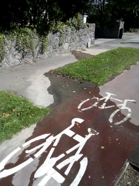 Roading/Streets, a report photo