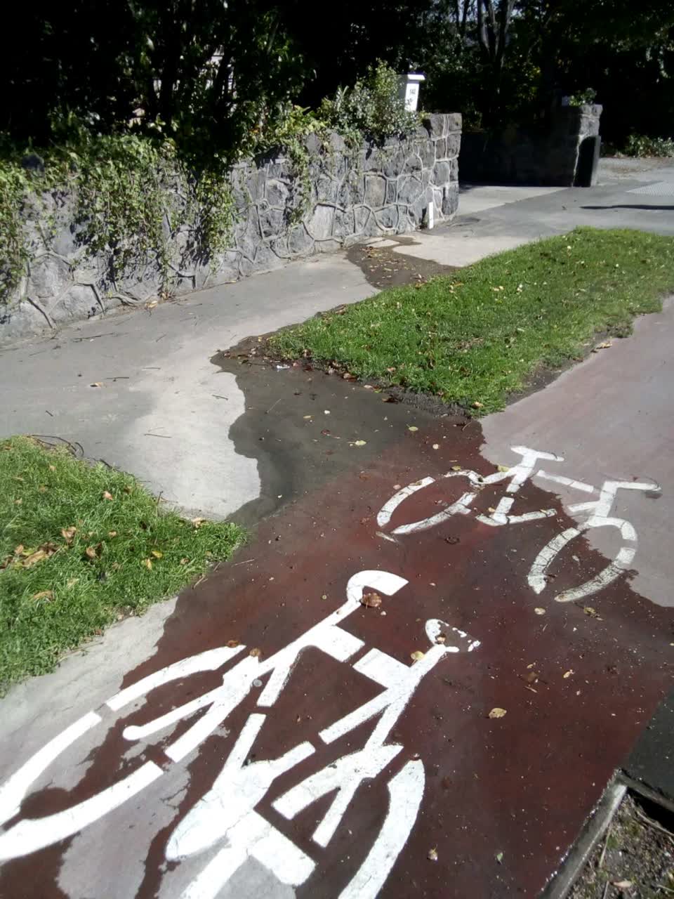 The photograph attached to this roading/streets report