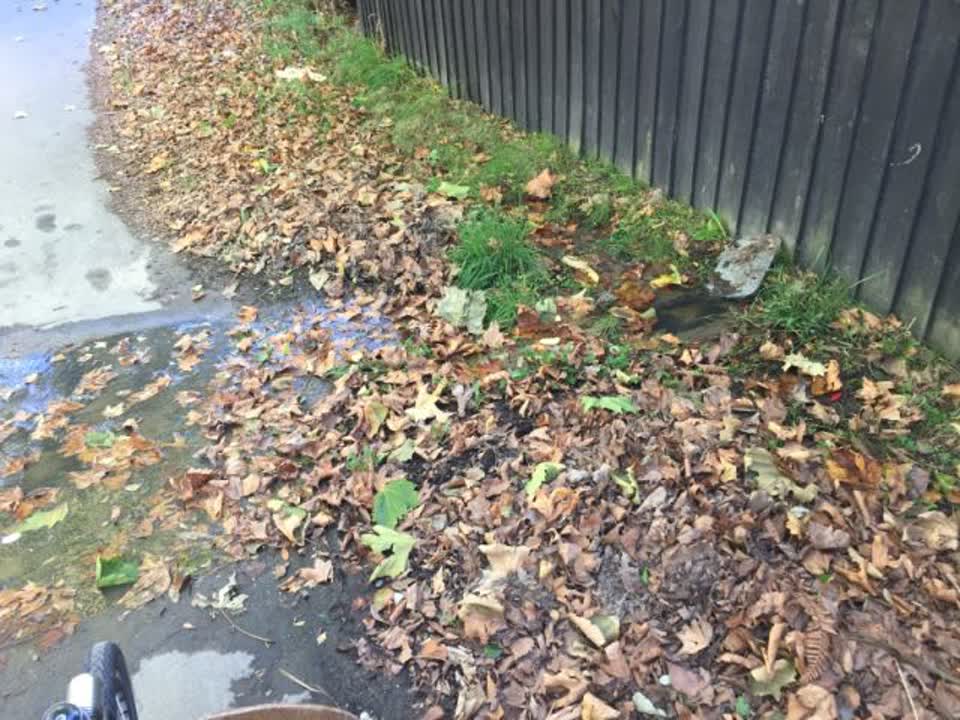 The photograph attached to this water supply report