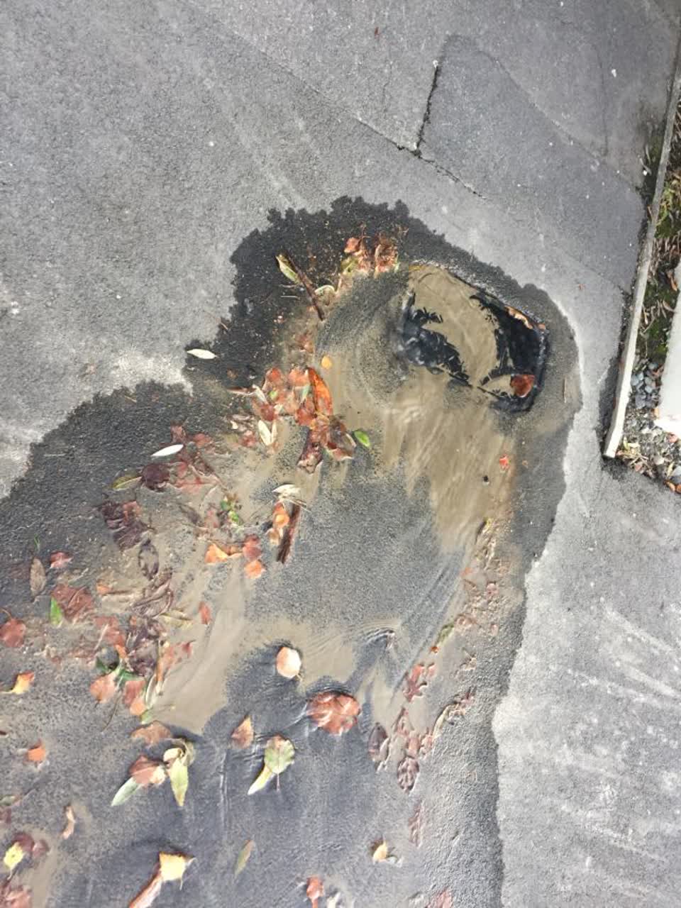 The photograph attached to this water supply report