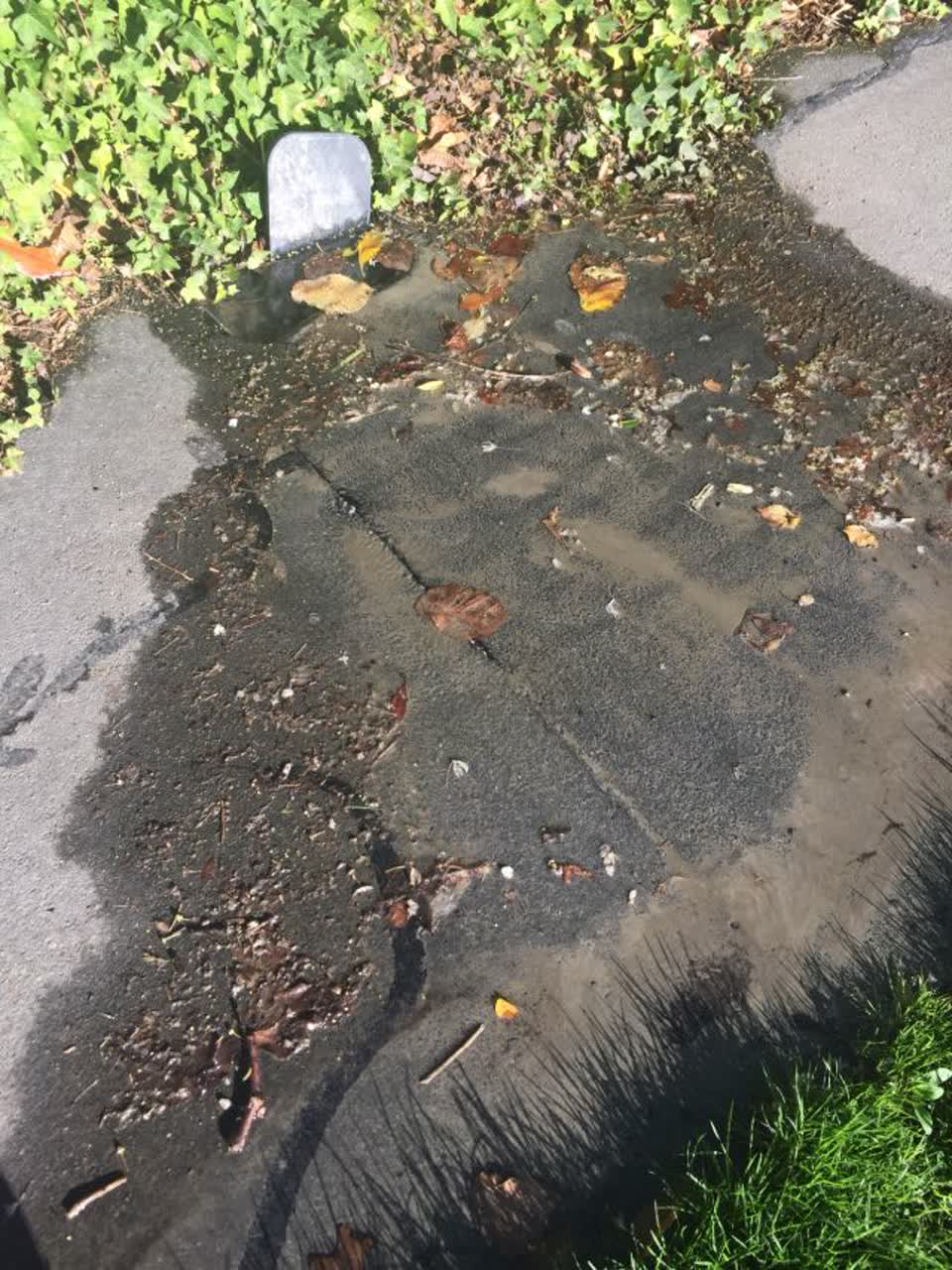The photograph attached to this water supply report