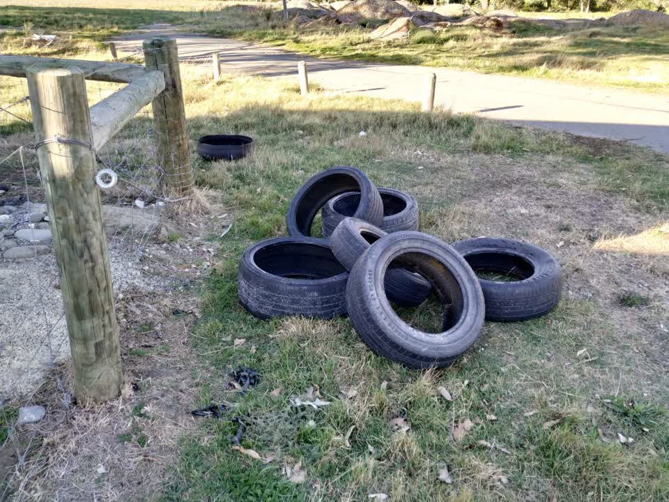The photograph attached to this rubbish/recycling report