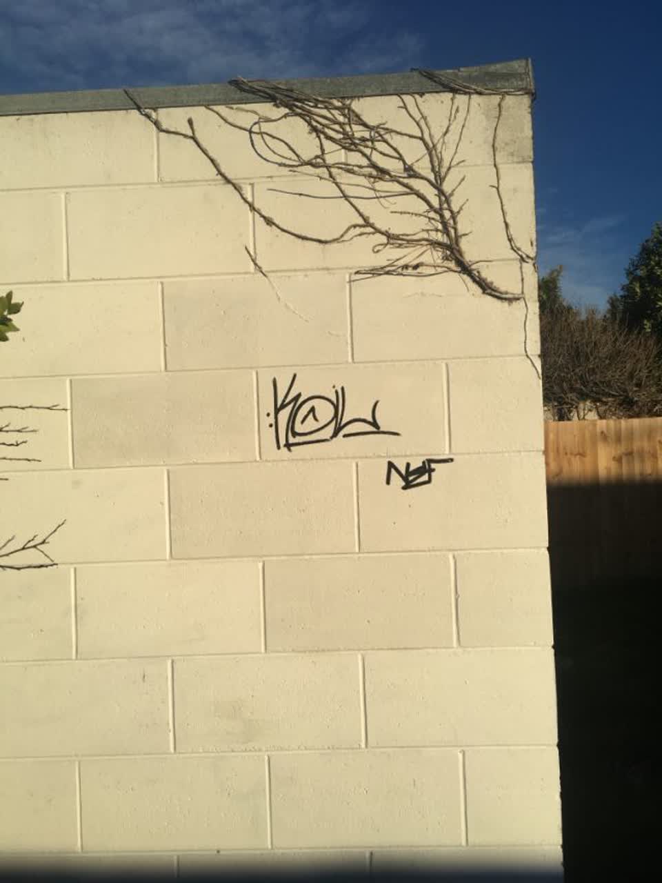 The photograph attached to this graffiti report