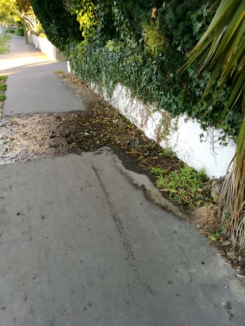 Water Supply, a report photo