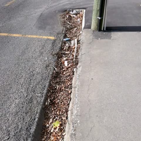 Roading/Streets, a report photo