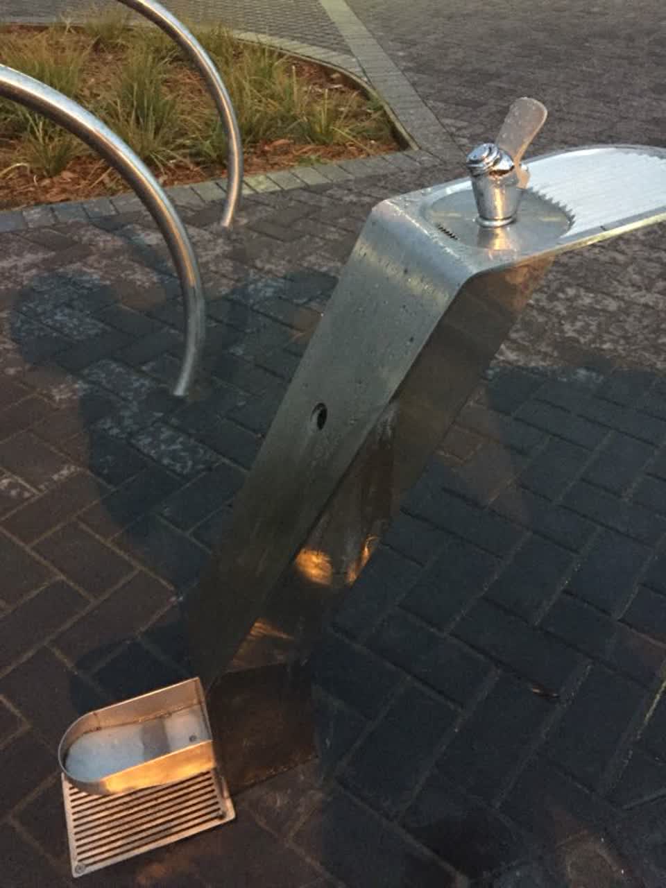 The photograph attached to this parks report