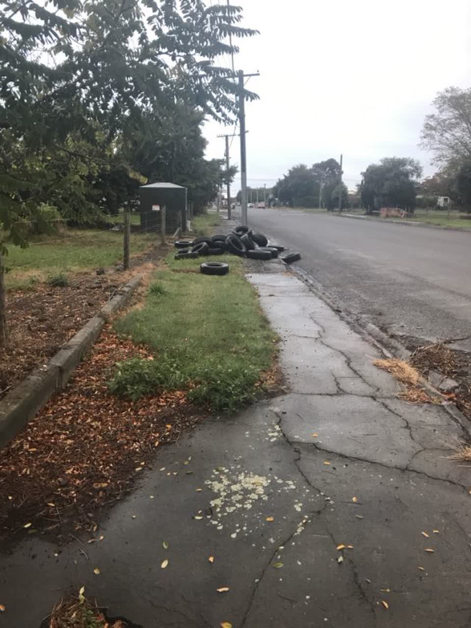 The photograph attached to this rubbish/recycling report