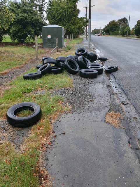 Rubbish/Recycling, a report photo