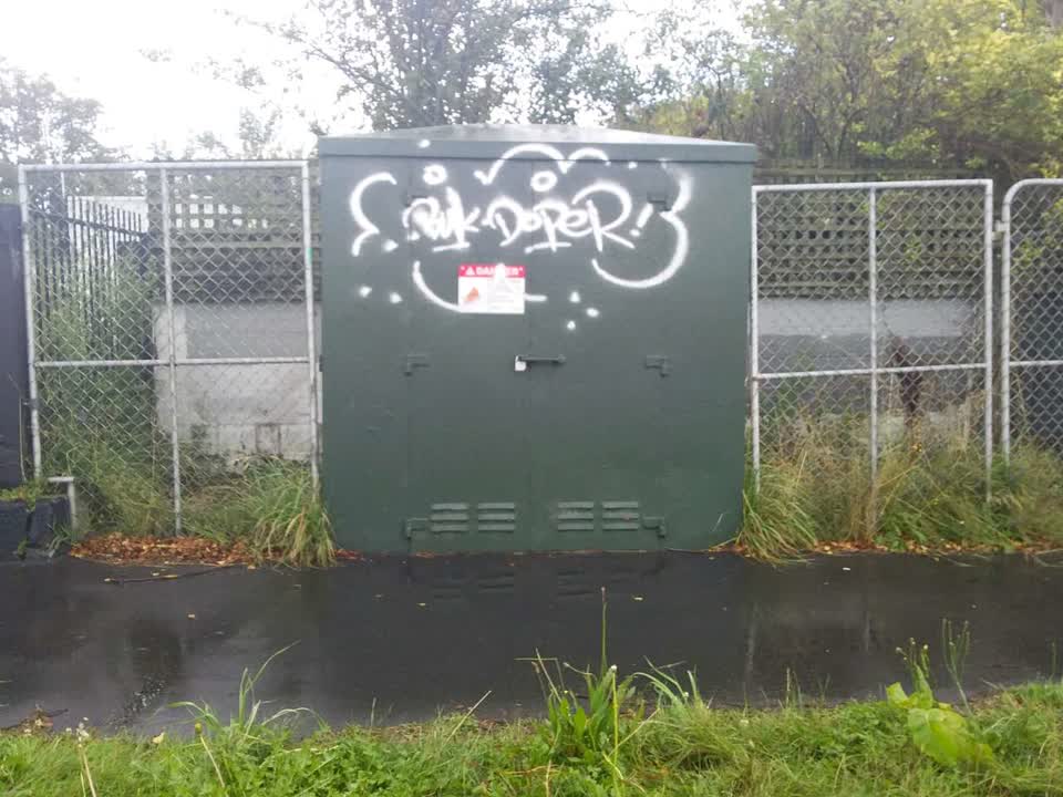 The photograph attached to this graffiti report