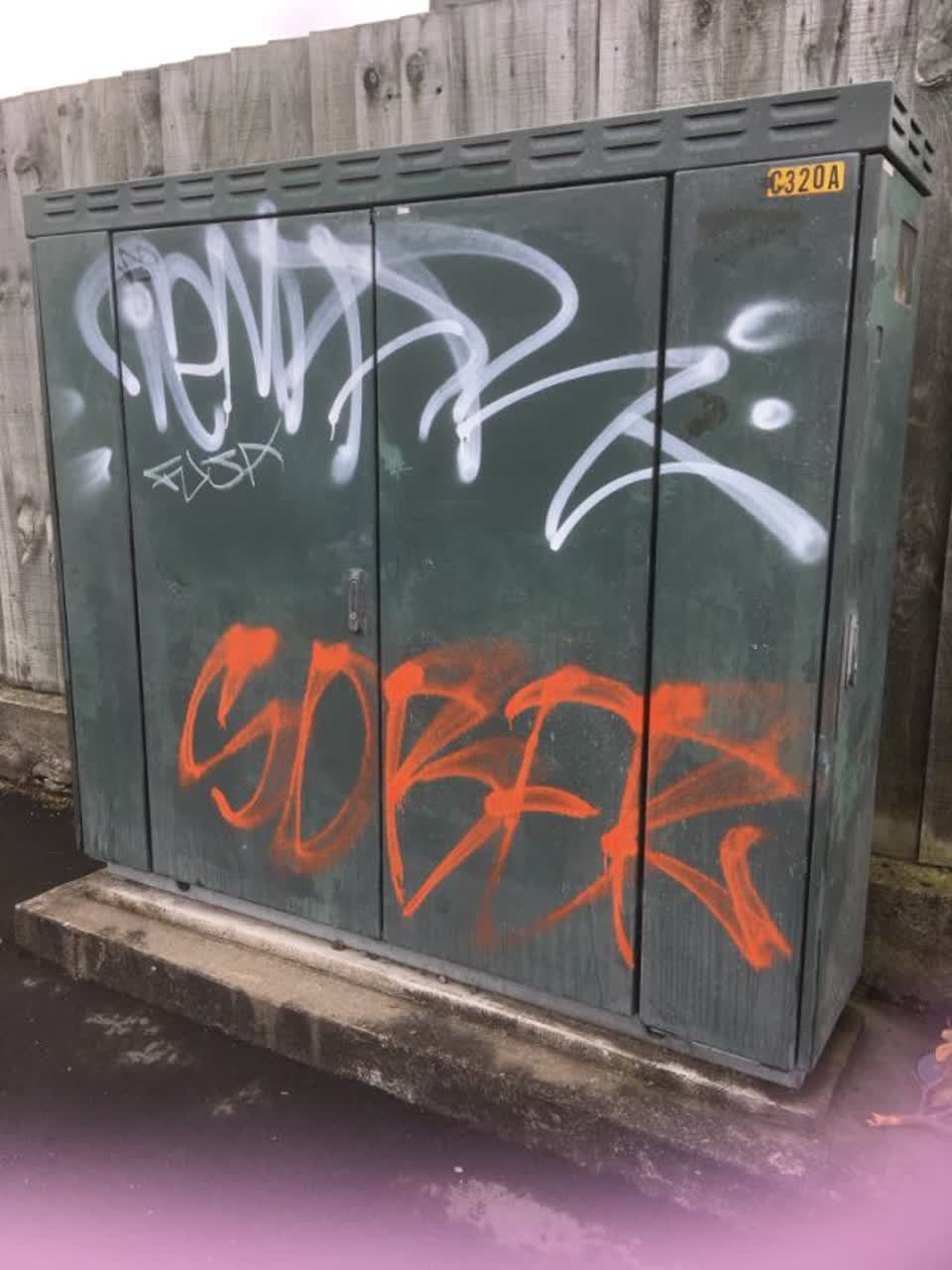 The photograph attached to this graffiti report