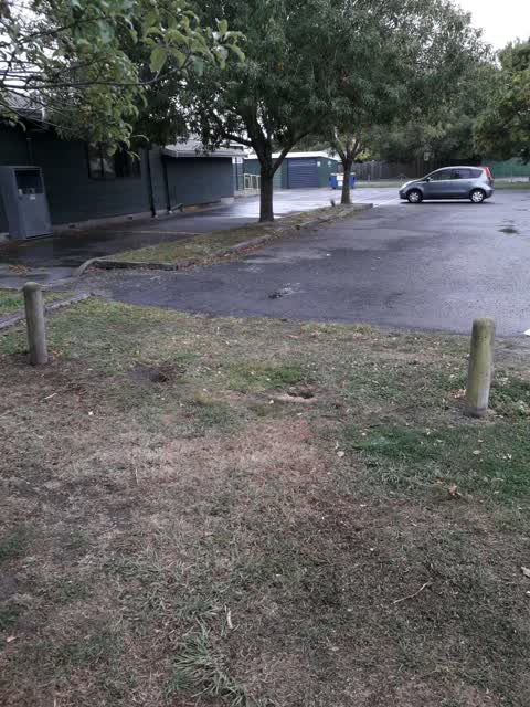 Parks, a report photo