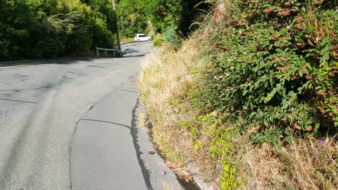 Roading/Streets, a report photo