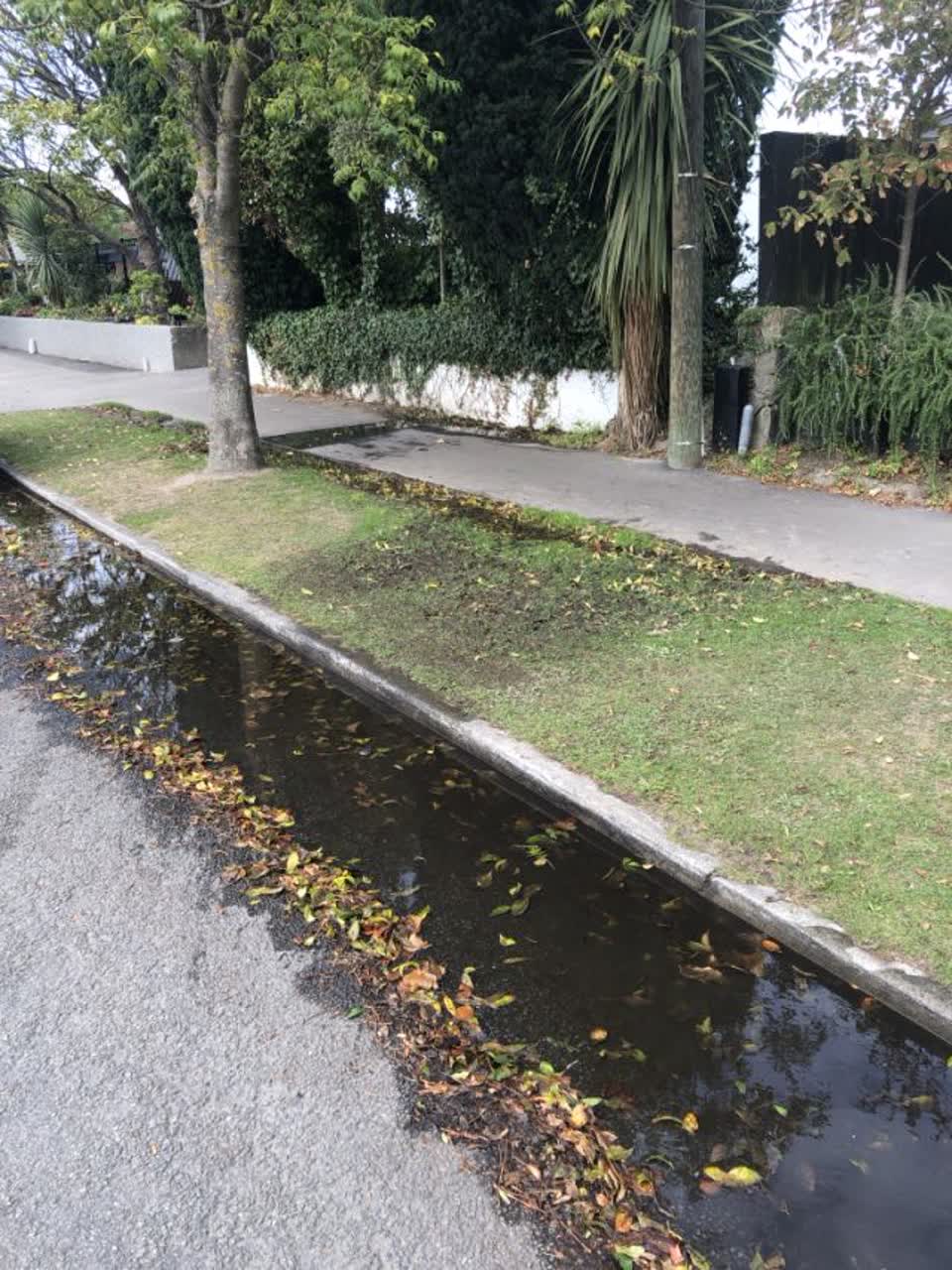 The photograph attached to this water supply report
