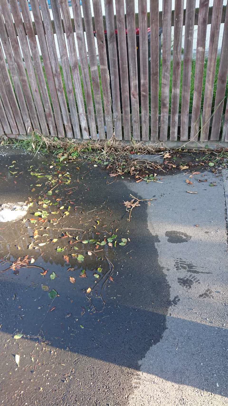 The photograph attached to this water supply report