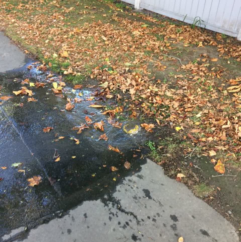 The photograph attached to this water supply report