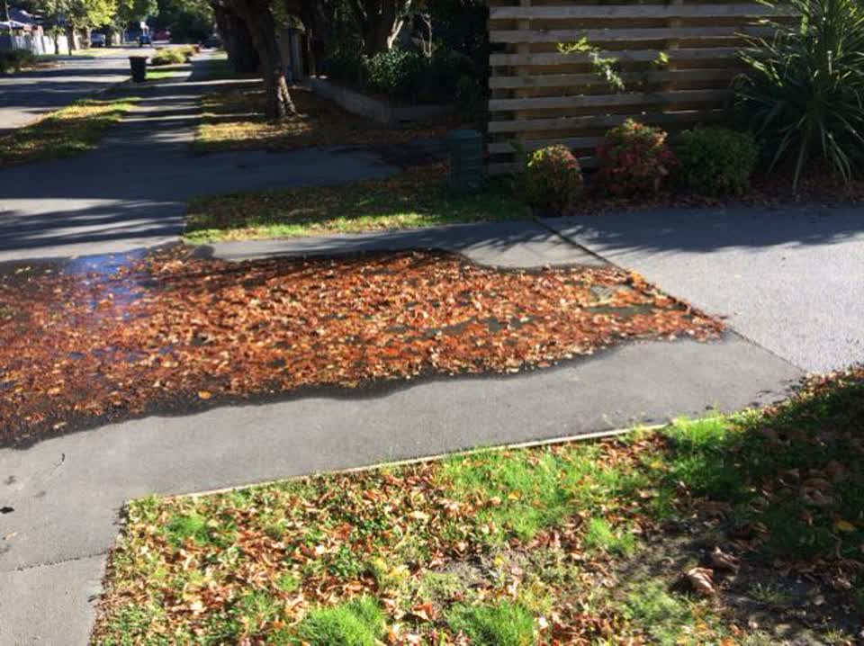 The photograph attached to this water supply report