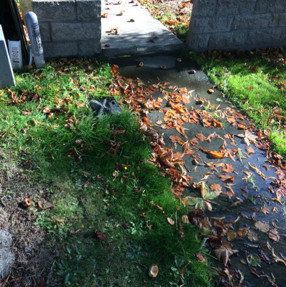 The photograph attached to this water supply report