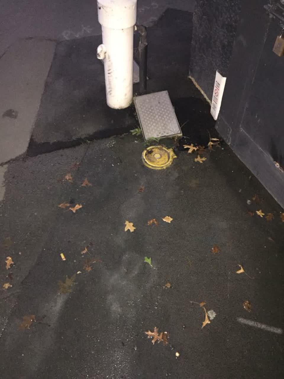 The photograph attached to this water supply report