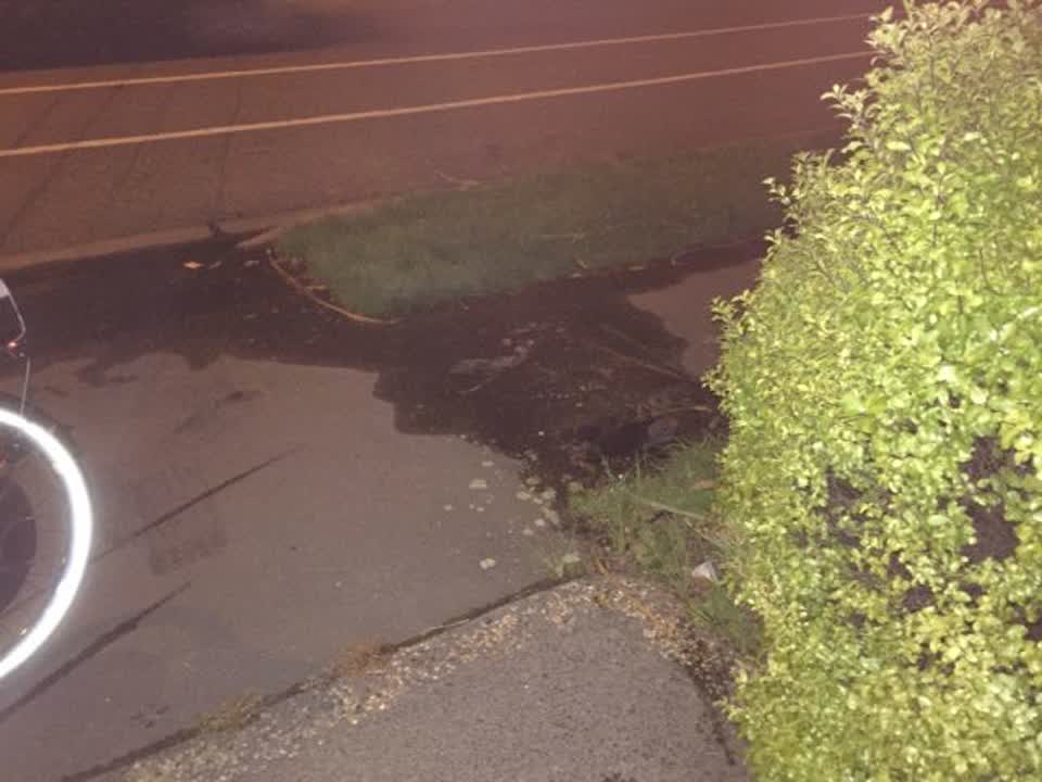 The photograph attached to this water supply report