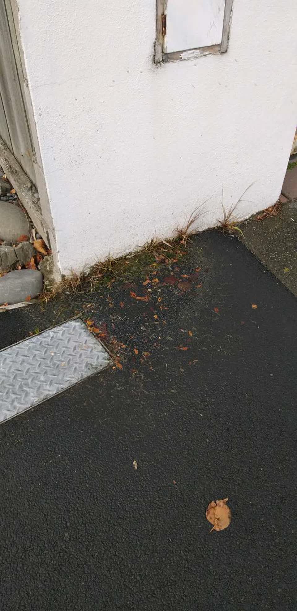 The photograph attached to this water supply report