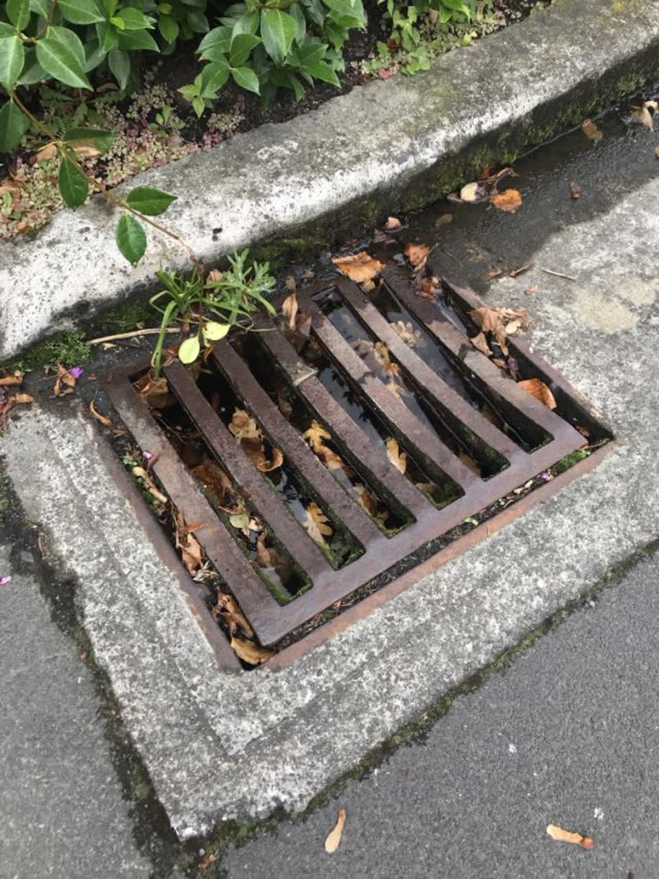 The photograph attached to this flooding report