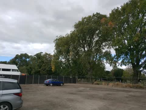 Parks, a report photo