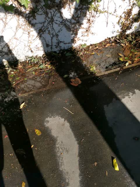 Flooding, a report photo