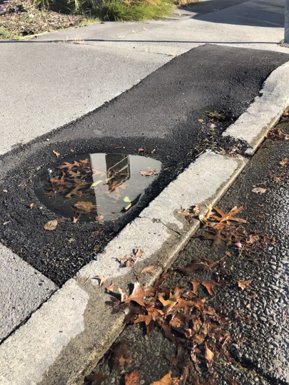 The photograph attached to this roading/streets report