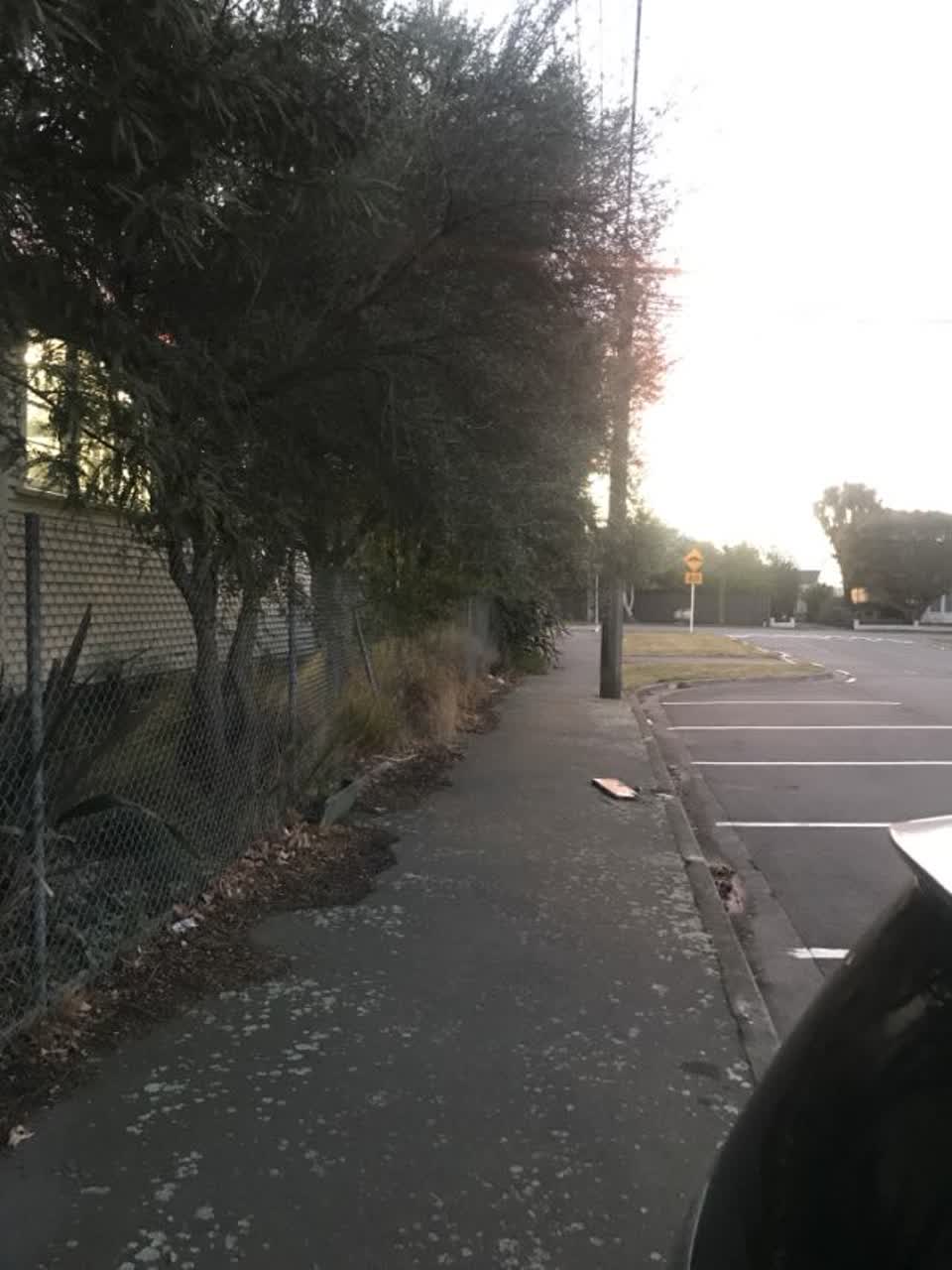 The photograph attached to this roading/streets report