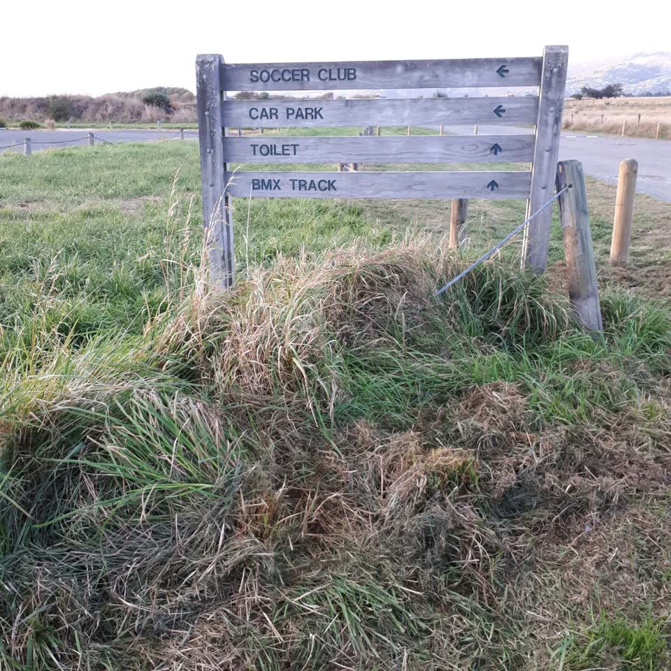 The photograph attached to this parks report