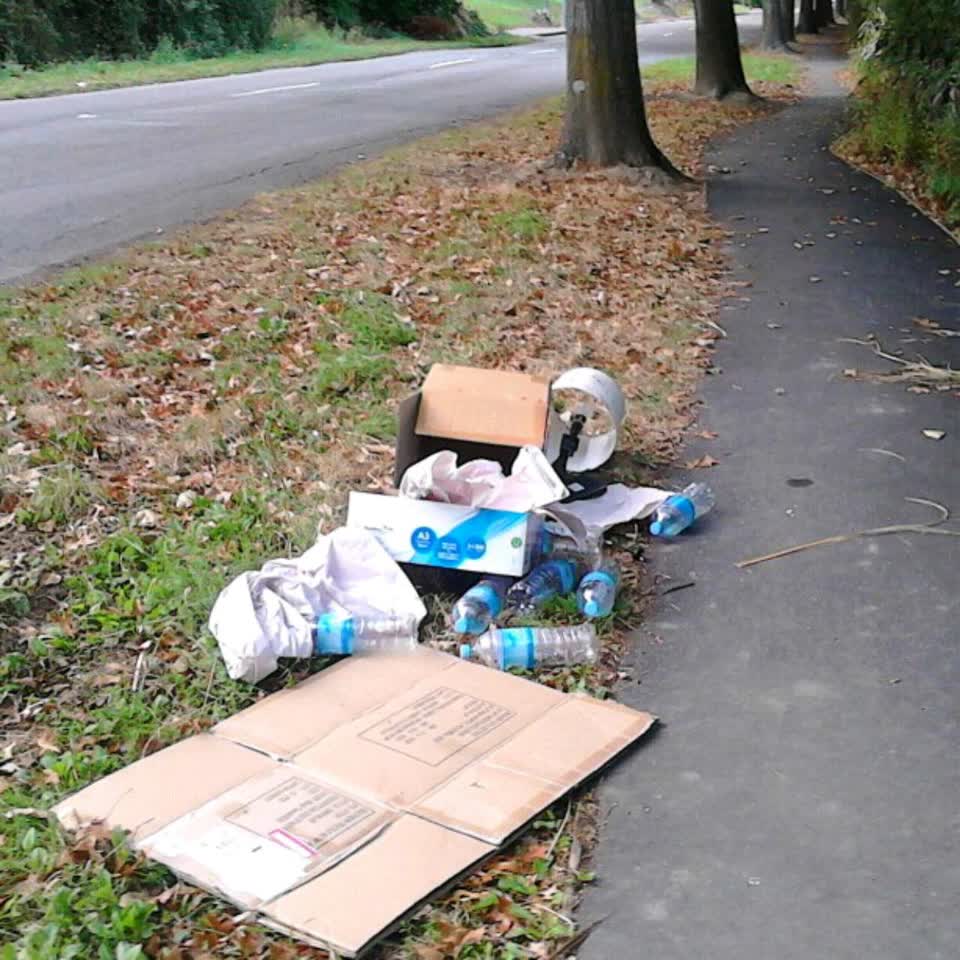 The photograph attached to this rubbish/recycling report