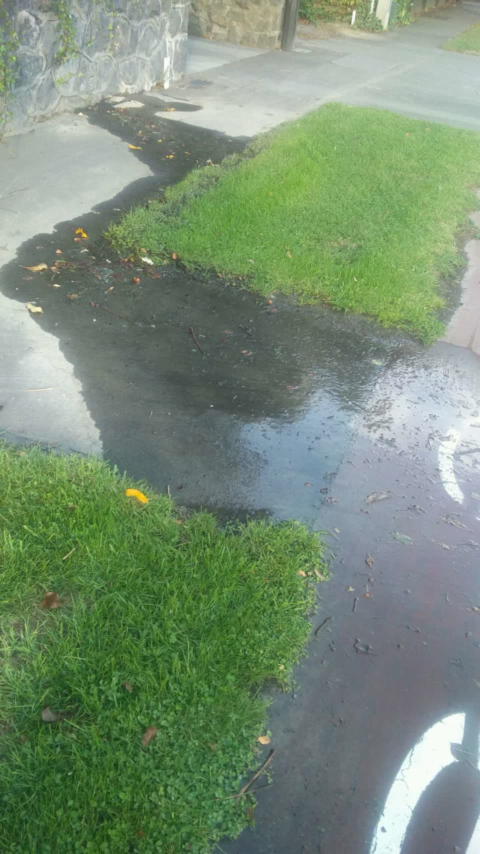 The photograph attached to this water supply report