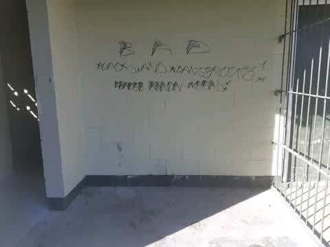 Graffiti — a report photo