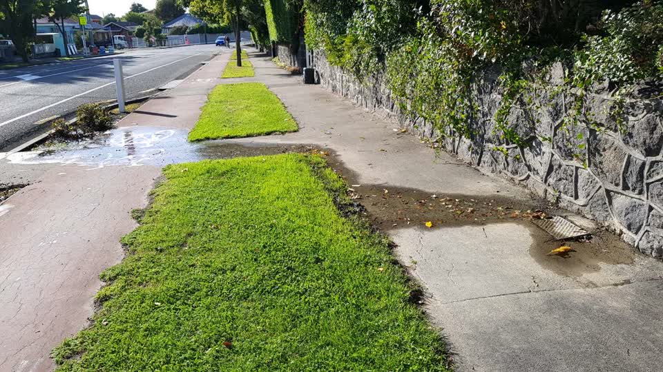The photograph attached to this water supply report