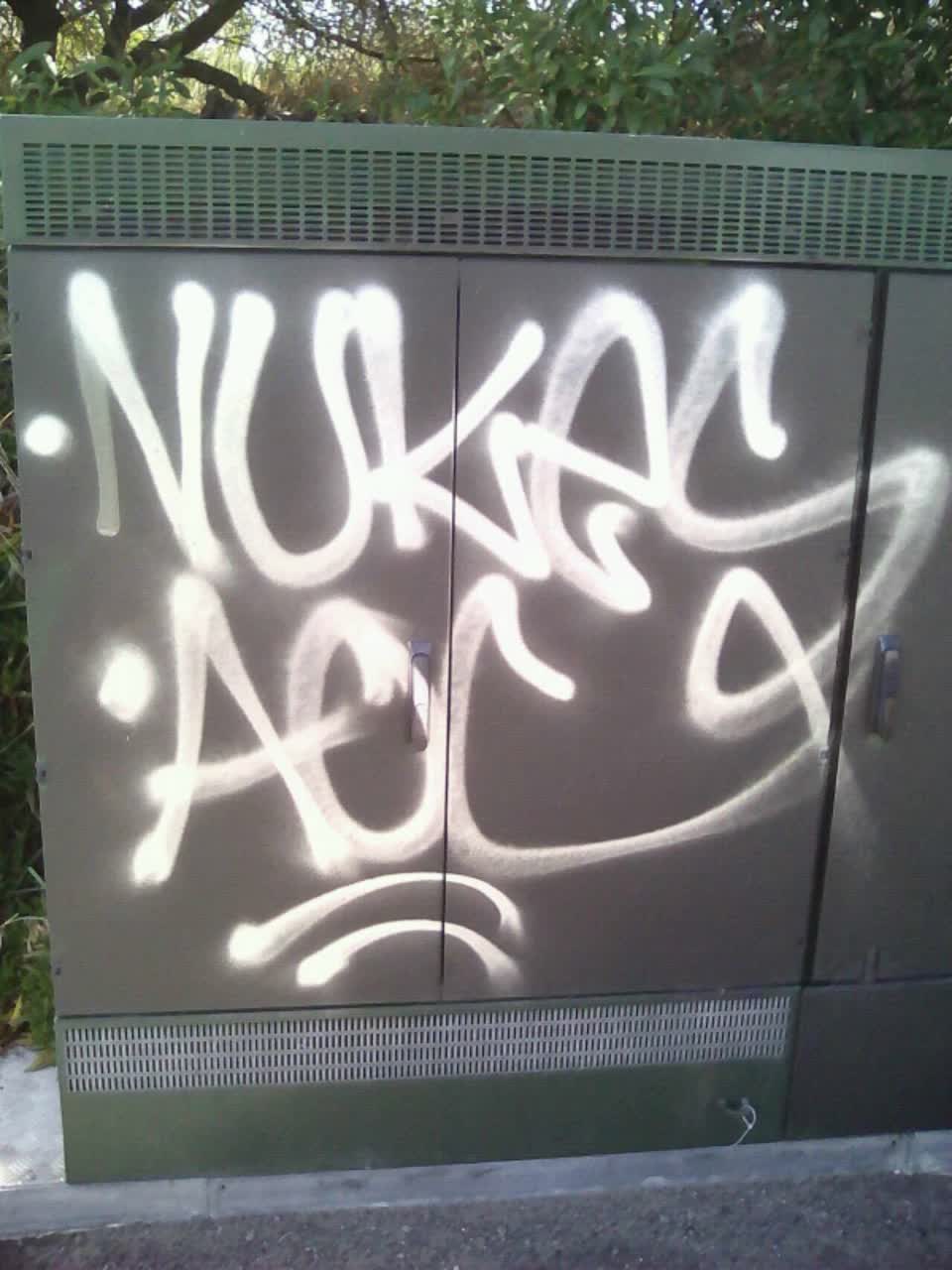 The photograph attached to this graffiti report