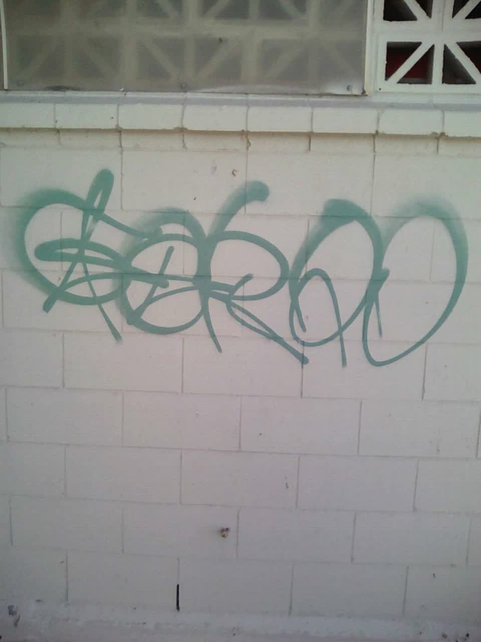 The photograph attached to this graffiti report