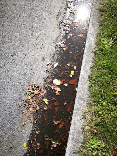 Flooding, a report photo